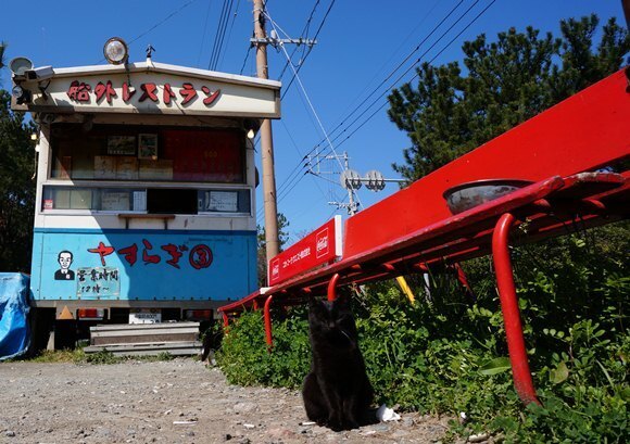 10　お店に行けば会えます.JPG