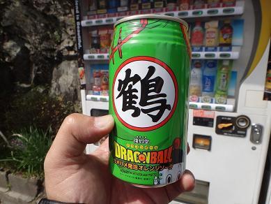10　これで全種類出たか？.JPG