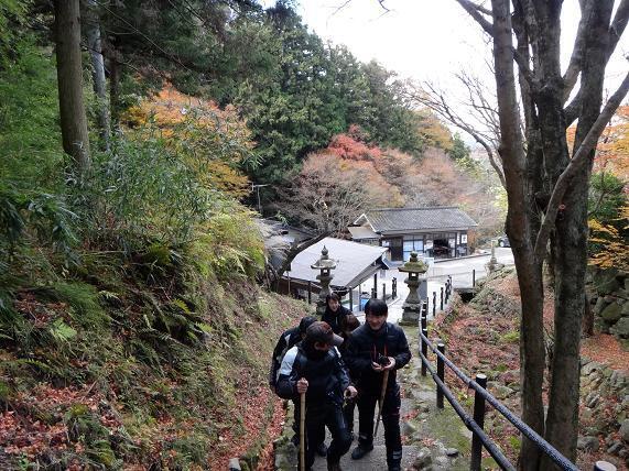 11　まだみんな元気.JPG