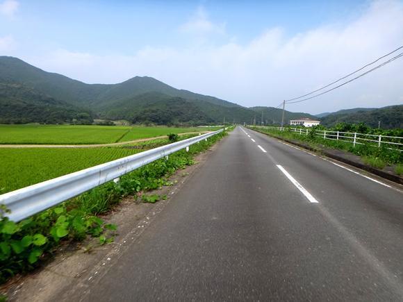 11　田んぼはもしかして二期作目ですか？.JPG