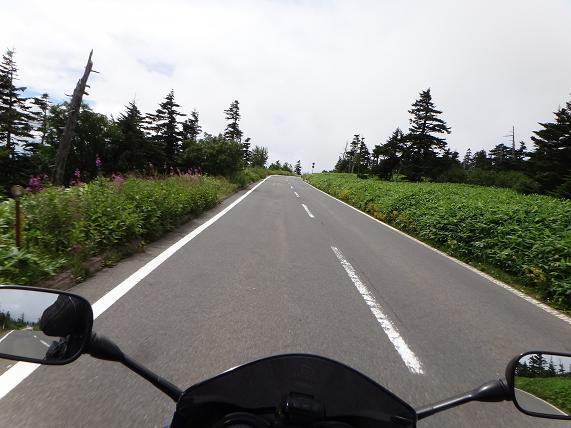11　脇には高山植物が咲いてる.JPG
