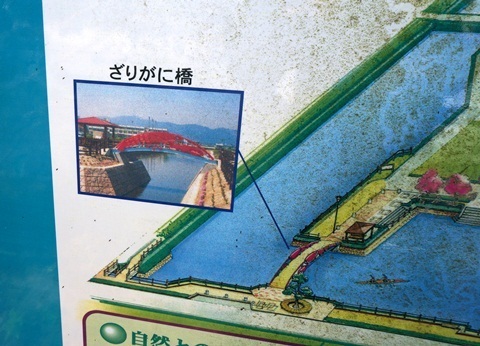 11　証拠写真.JPG