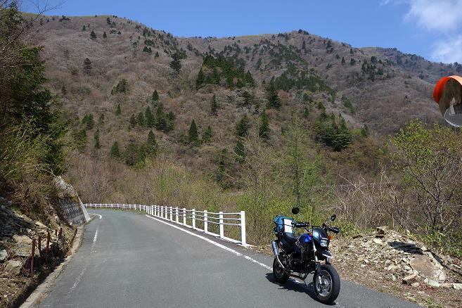 11　高い樹がなくなってきた.JPG