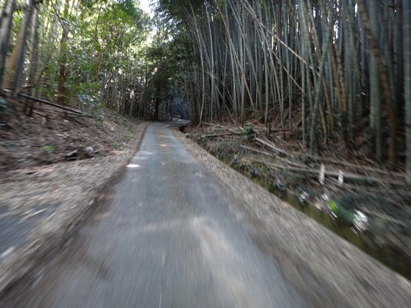 12　小さな島だけど楽しい.JPG