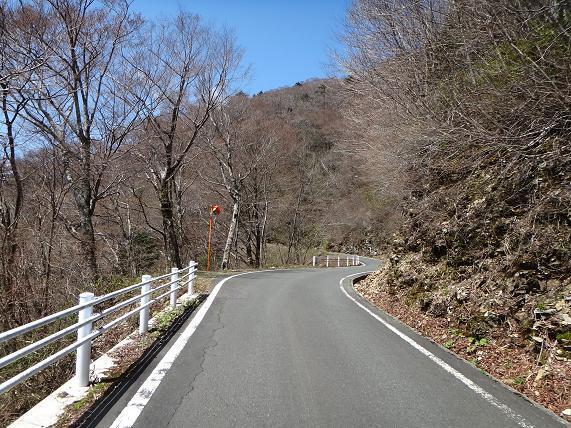 12　山から緑が消えた.JPG