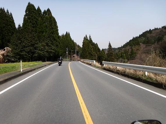 12　福岡市内より花粉は飛んでないらしい.JPG