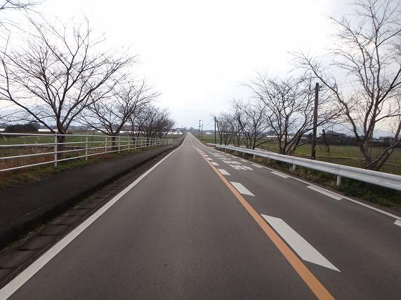 12　青蜂号にぴったりな道.JPG