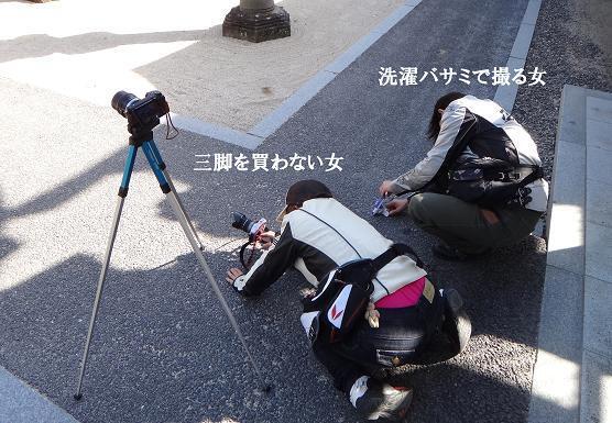 13　そろそろ楽な道具を買いなさい.JPG