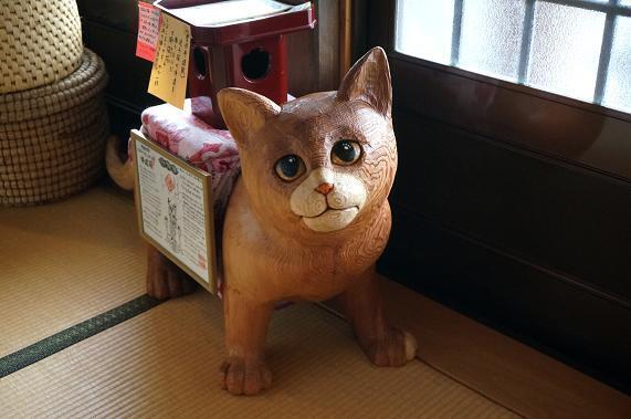 13　めっちゃ目が合う猫.JPG