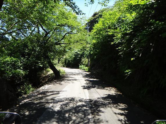 13　仙崎山へ.JPG