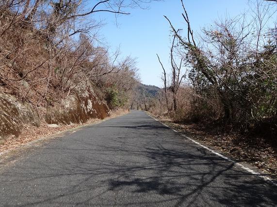 13　新緑待ちの山.JPG
