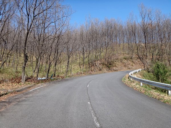 14　こっち方面の景色はこんな感じ.JPG
