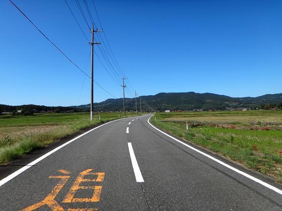 14　ちらほら咲いてる彼岸花が綺麗.JPG