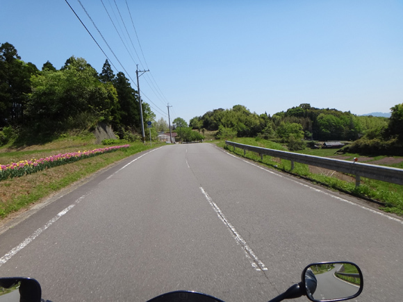 14　春爛漫な田舎道.jpg