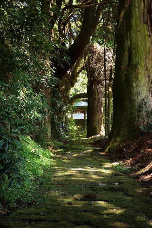 14　石畳は苔で良い雰囲気です.JPG