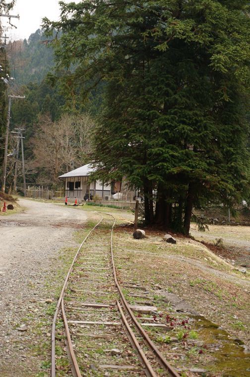 15　トロッコの軌道発見.JPG