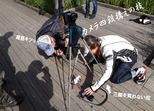 15　集合のシーン.jpg