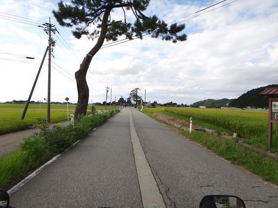16　広域農道です.JPG