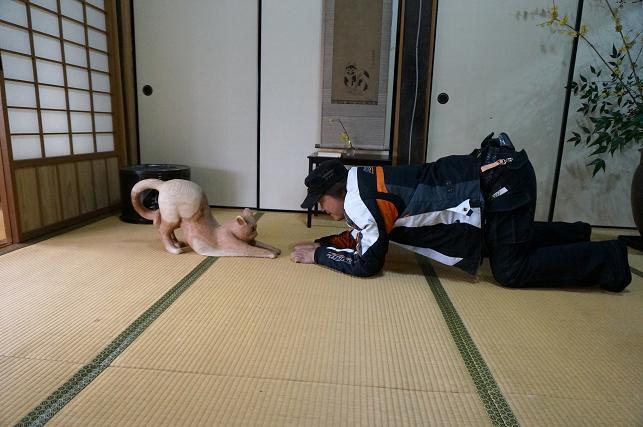 16　猫になって遊びましょう.JPG