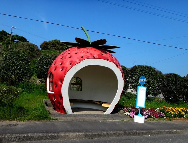 17　かぶりたくなるバス停は健在.JPG