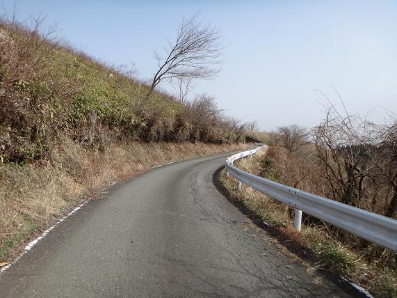 17　わたくし好みの道.JPG