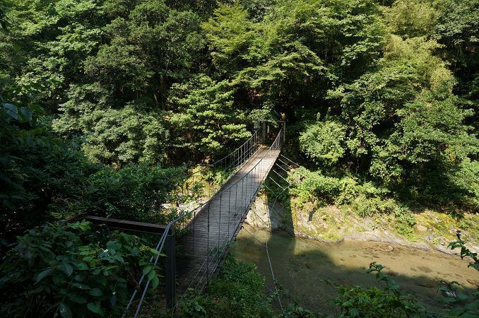 17　ボヨンボヨン揺れる橋.JPG