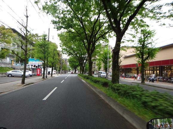 17　京都の市街地へ.JPG