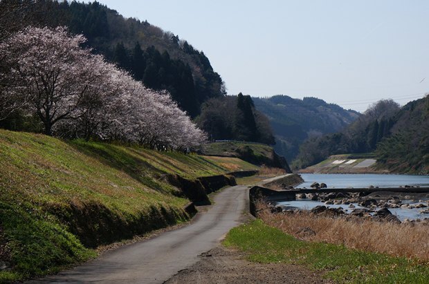 17　大野川です.JPG
