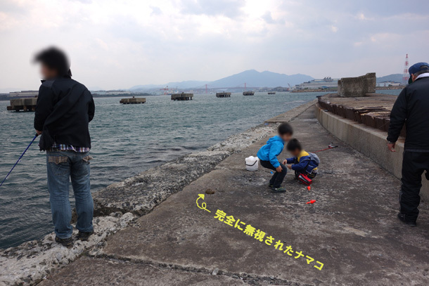 18　ナマコ頑張れ！.jpg
