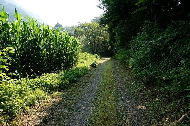 18　参道です.JPG