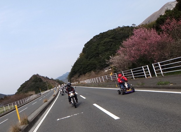 18　面白い組み合わせです.JPG
