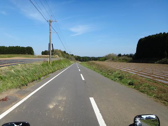 19　時たま肥やしの香りがします.JPG