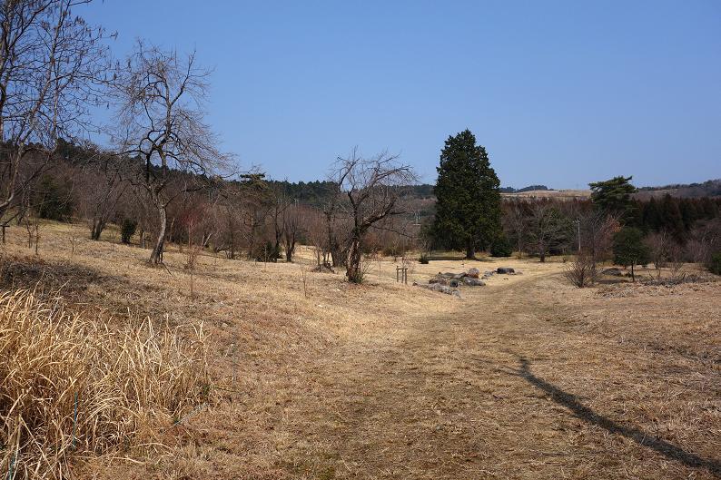 19　普通に綺麗なとこです.JPG