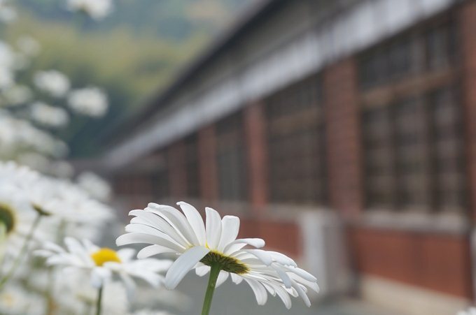 19　移築なので綺麗です.JPG