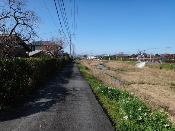 1　ウォーキングのコース.JPG