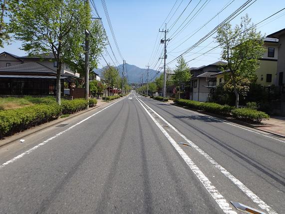 1　新緑の並木の団地を抜ける.JPG