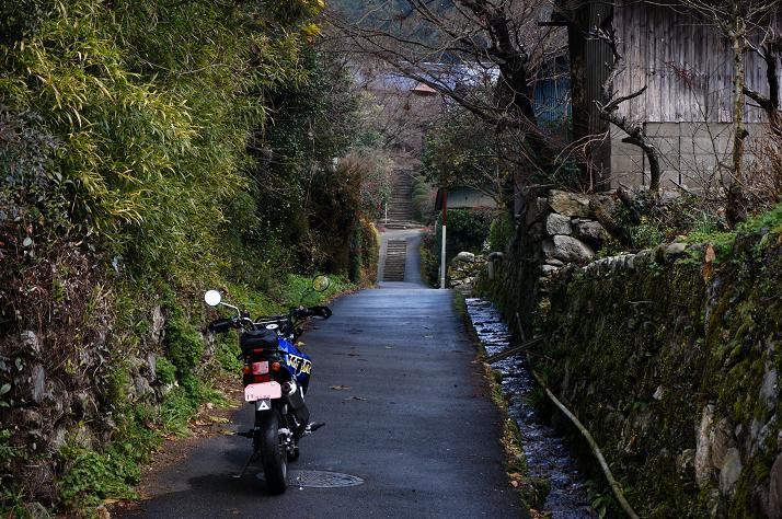 1　秋月の路地.JPG