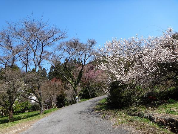 20　こんな綺麗なところを登ります.JPG