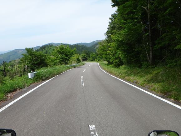 20　大規模林道.JPG