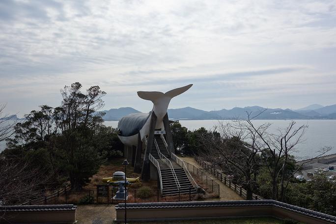 20　昔の水族館の名残です.JPG