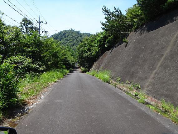 20　走りやすい林道です.JPG