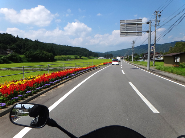 21　沿線は花でいっぱい.jpg