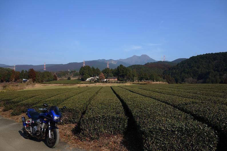 21　阿蘇エリアに茶畑があったんだね.JPG