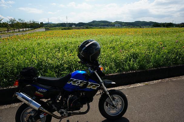 23　大任花園.JPG