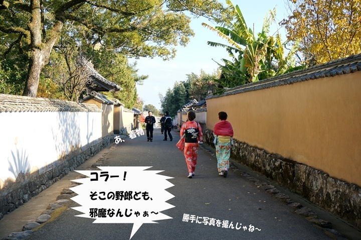 23　着物美人に付いて行く.jpg