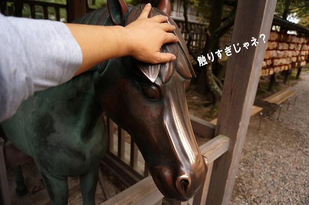24　勝負運が上がるらしい.JPG