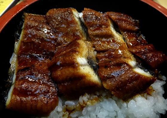 25　ウナギがちょっと少ないな.JPG