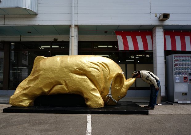 25　宇和島の闘牛で金運ＵＰ.JPG