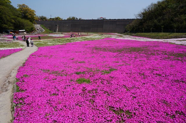 27　大きな砂防堤の中にあるんだよ.JPG