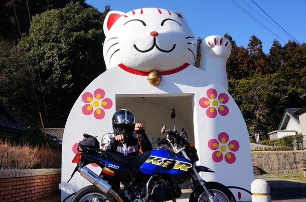 28　わたくしもニャー.JPG